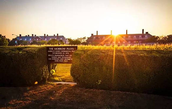 留学BB电子在线咨询优选名录(图2)